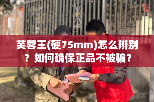 芙蓉王(硬75mm)怎么辨别？如何确保正品不被骗？